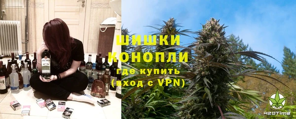 ПСИЛОЦИБИНОВЫЕ ГРИБЫ Кодинск