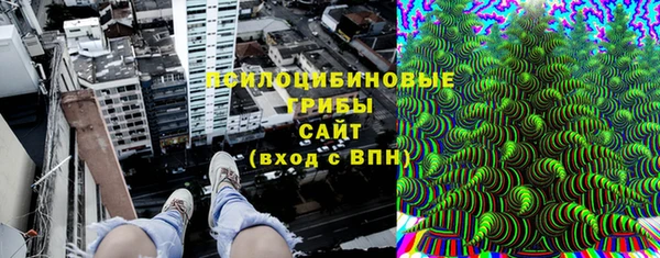 ПСИЛОЦИБИНОВЫЕ ГРИБЫ Кодинск