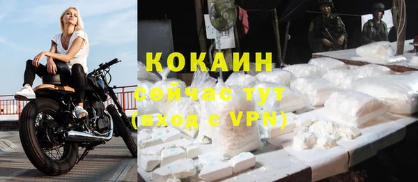 ПСИЛОЦИБИНОВЫЕ ГРИБЫ Кодинск