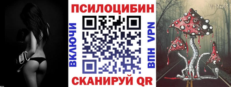 Купить закладки  Берёзовка  Псилоцибиновые грибы Psilocybine cubensis 